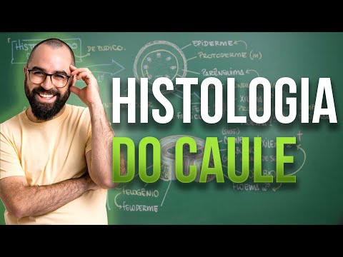 Histologia do Caule - Aula 08 - Módulo 5: Botânica