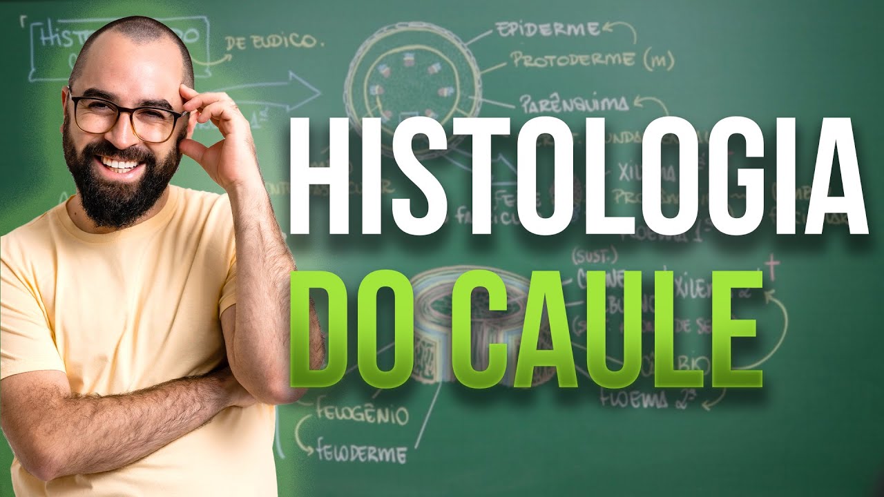 Histologia do Caule - Aula 08 - Módulo 5: Botânica