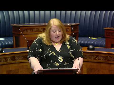 The Domestic Abuse and Family Proceedings Bill - Second Stage: Tuesday 28 April 2020