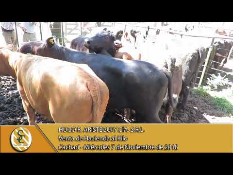 07-11-18 Venta de Hacienda al Kilo - Hugo R. Aristegui y Cía. S.R.L. - Cacharí
