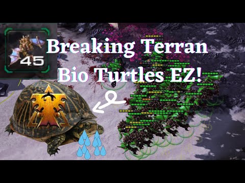 How to pick appart bio turtle terrans - Tournament Analysis