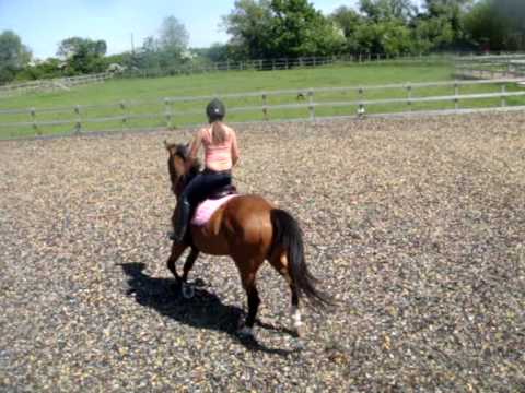 Puccini: a bit of this and that!