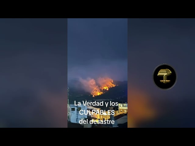 La verdad y los culpables del desastre