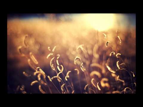 Tillmann Uhrmacher feat. Peter Ries - Bassfly (Moogwai Remix)