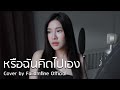 หรือฉันคิดไปเอง ส้ม มารี Zom Marie Cover By ฝ้าย