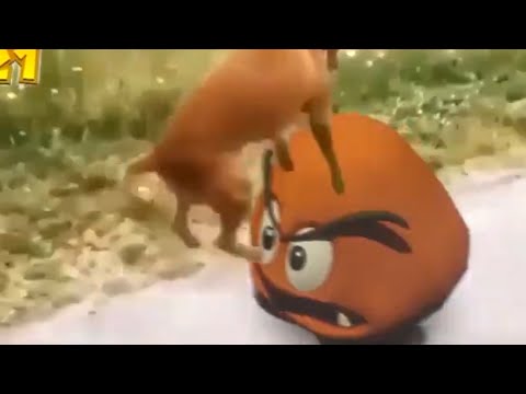 UNUSUAL MEMES COMPILATION V90 - YouTube