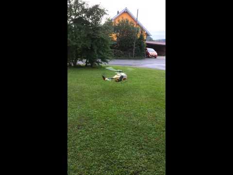 BO 105 Flying Tiger Promo Heli