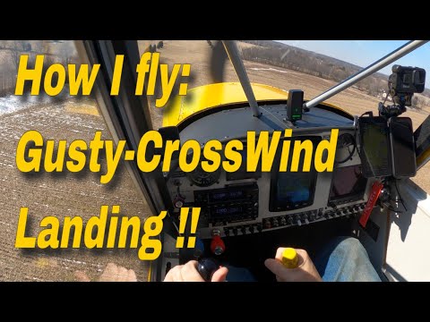GUSTY CROSSWIND !! | Landing an Aviat Husky in a Gusty Crosswind 4k - VLOG