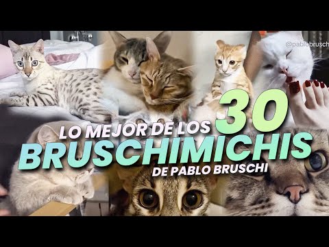LO MEJOR DE LOS BRUSCHIMICHIS 30 - PABLO BRUSCHI