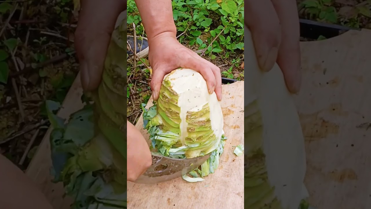 CT 77000000169 mini rotary tillage and ridging all-in one tree