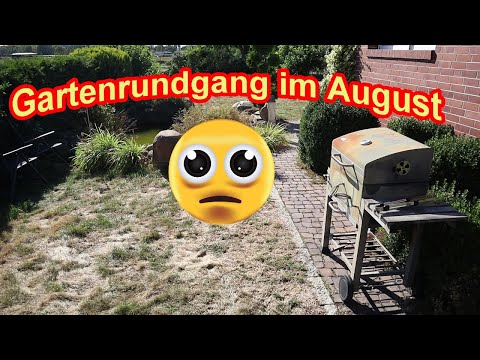 Gartenrundgang im August - Mein Garten sieht echt schlimm aus!   Das ist passiert!