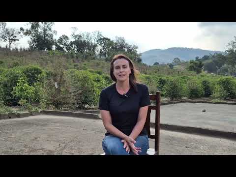 Mulheres do Café  - Histórias da Região Vulcânica – Episódio 1: Tamires Ribeiro (Andradas – MG)