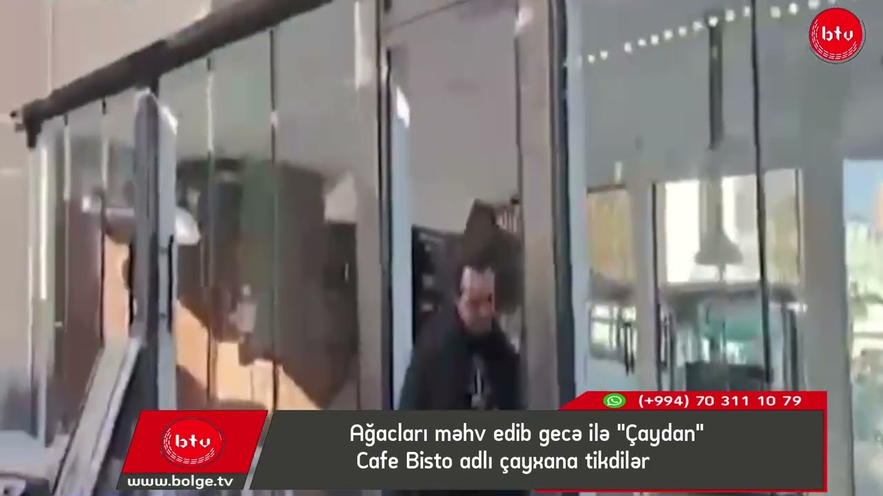 Ağacları məhv edib gecə ilə "Çaydan" - Cafe Bisto adlı çayxana tikdilər