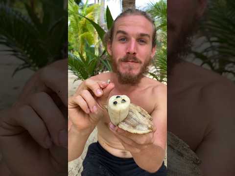 Is this a REAL banana?