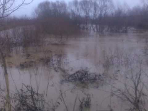 inundatii cornisesti/riul Topa.3gp