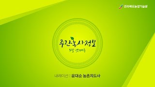 주간농사정보 [ 8월 셋째주 ]