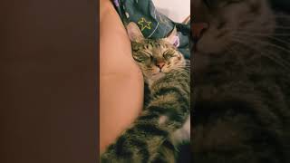 [問卦] 俊榮怎麼可以那麼可愛！！！