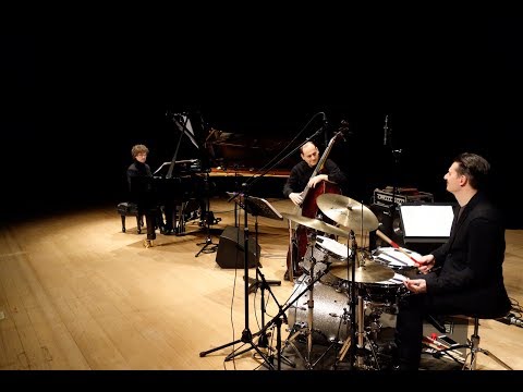 G-Spot Tornado (F. Zappa), Roberto Olzer Trio