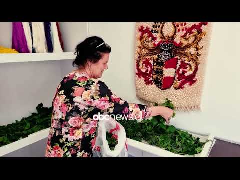 Rrit krimba mëndafshi/ Artizania shkodrane: Kam punësuar 5 gra, disa punojnë nga shtëpia