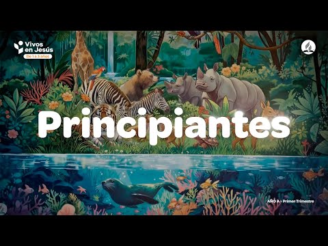 Model Class for BEGINNERS | Pre-term 1st quarter 2026