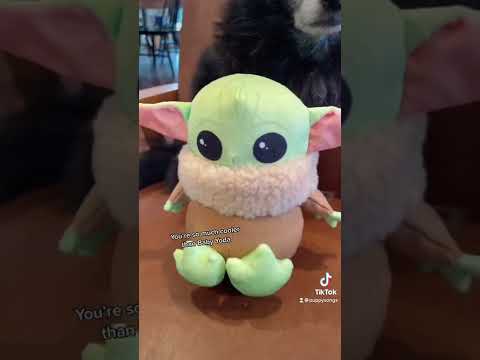 Oh Hoda 💜🎶 #puppysongs #cutedog #valentinesday #hoda