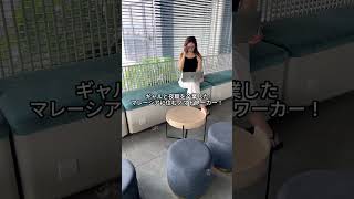 闘鶏を観てきた…