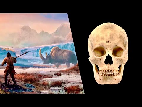 If We’re Omnivores, EXPLAIN THIS!