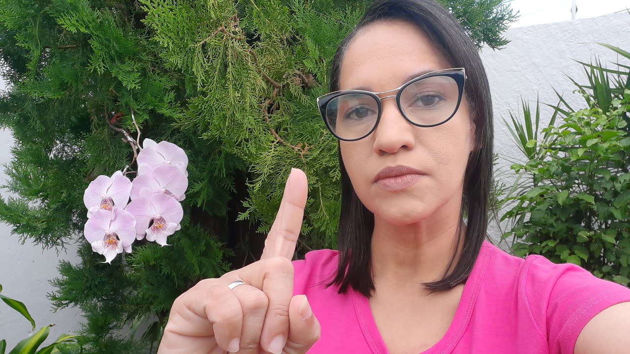 ORAÇÃO DO DIA: 24 DE SET| Essa fase difícil está acabando, Chegou uma nova estação.