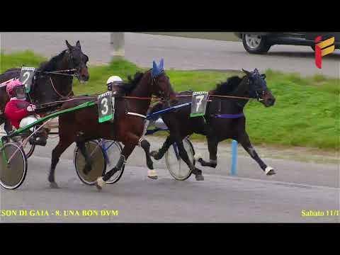 I Corsa del 11 Dicembre 2021 - Cat. G - Metri 1600 - Allievi