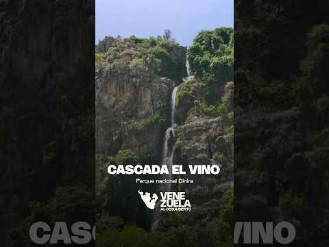 Lo que descubrí al subir a la Cascada El Vino | Lara, Venezuela