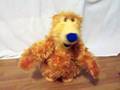Singing Dancing Cha Cha Cha Bear