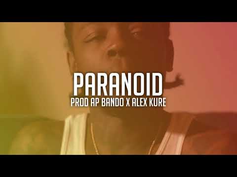 🔥 [FREE] Cash Kidd x Shittyboyz BabyTron x Detroit Type Beat | Paranoid | Prod. AP Bando x Alex Kure