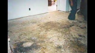 preview picture of video 'Teppo Interiors; Beachwood Ohio; removal of carpet with mold removal product application.'