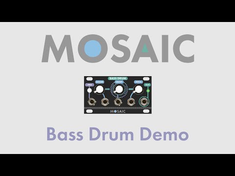 Mosaic Bass Drum 1U - Black image 5