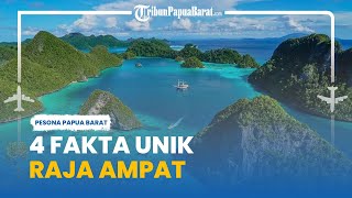 Deretan Fakta Menarik Wisata Raja Ampat Papua Barat yang Belum Banyak Diketahui Orang