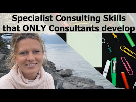 Overview of all roles on a Consulting project team via Chatbot Case Study