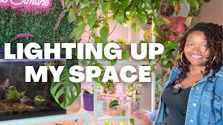 Amazon Grow Lights | IKEA Greenhouse Cabinet + Plant Shelf Setup