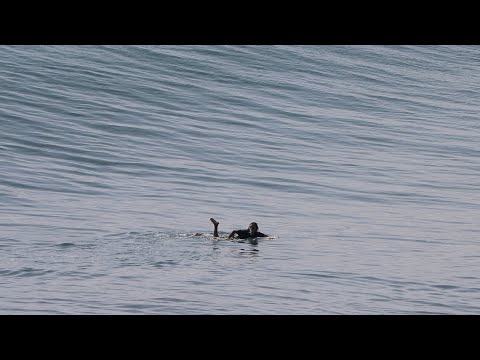 The Wind Just Stopped - Uluwatu