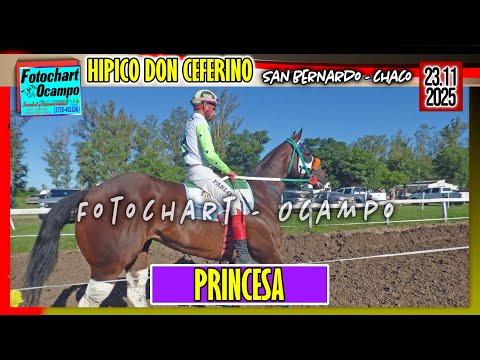 PRINCESA San Bernardo CH  23 11 2025