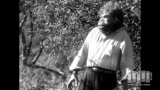 Neanderthal Man Crashes Picnic - The Neanderthal Man (1953)