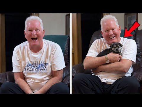 He Didn’t Want a Puppy… But Now He Can't Let Go! 😄 PuppySurprise 2026