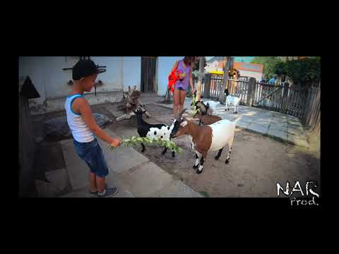 Plaňky pro kozy - dostavba plotu statku v ZOO Chleby