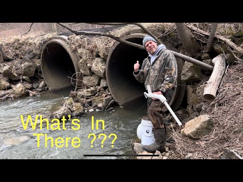 Finding GOLD Everywhere !!