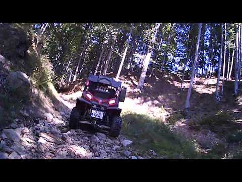 Traseu Padure Corbeni (Arges)