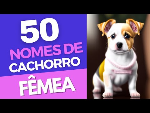 Nomes de cachorro FÊMEA