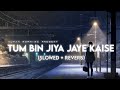 Tum Bin Jiya Jaye Kaise Slowed Reverb Shreya Ghoshal Suman Morning