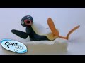 Pingu And His Friends Play Too Loudly Pingu Official Channel