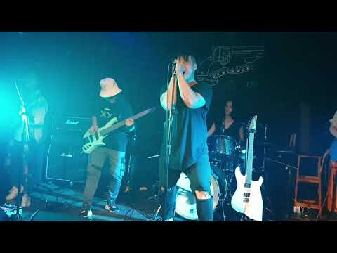 WTF Are You Doing? (Live)