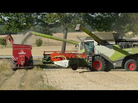 Ernte 2022 / Roggen / 3xClaas Lexion NEUE Generation / RAW SOUND FIELDRECORDING / Part 2/3