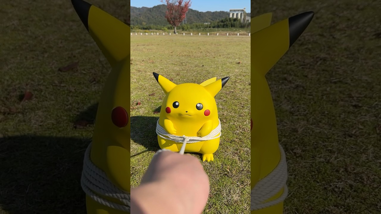 Come on! Pikachu! #pokemon #ポケモン #pikachu